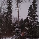 ���� ����, ������, 46 ��� - ��������� 9 ���� 2016 � ������ ���� ����������