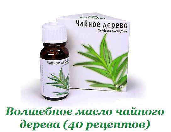 Волшебное масло чайного дерева (40 рецептов).ГОЛОВА *ОЧИЩЕНИЕ ВОЛОС И ВОЛОСЯНЫХ ФОЛЛИКУЛ: добавьте ...