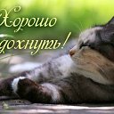 ���� �����, �������� - ��������� 20 ����� 2016
