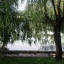 Elenka))) 219,  -  6  2016   