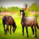 ���� ������, �������������, 64 ���� - ��������� 13 ����� 2016