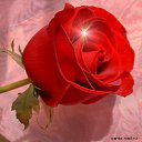���� ������, ������ - ��������� 7 �������� 2016 � ������ �������� ��������