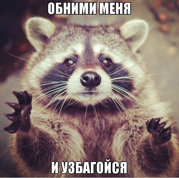    :D - 11  2016  17:03