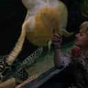 ���� �������, ����, 58 ��� - ��������� 13 ����� 2016 � ������ ���� ����������