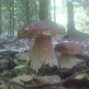 ���� �����, ������, 64 ���� - ��������� 15 ���� 2016 � ������ ���� ����������