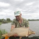 ���� ���������, ������, 53 ���� - ��������� 24 ������� 2016