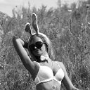 ���� ��������, �������, 35 ��� - ��������� 31 ������� 2016 � ������ ���� ����������