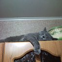 ���� ����, ��������, 57 ��� - ��������� 10 �������� 2016 � ������ ���� ����������