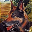 ���� Aleks, �����������, 65 ��� - ��������� 15 ������� 2016 � ������ ���� ����������