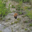 ���� U-jin, ������, 54 ���� - ��������� 11 ������� 2016 � ������ ������� ������ �����