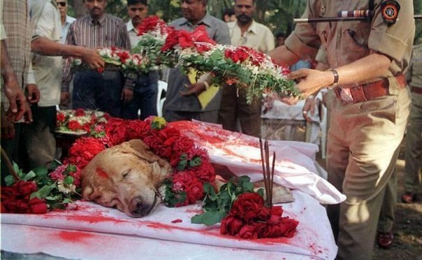 Zanjeer,      ,       1993,    ...