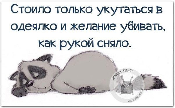   - 11  2016  23:48