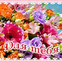 ���� ������, �������� - ��������� 5 �������� 2016 � ������ �������� ��������