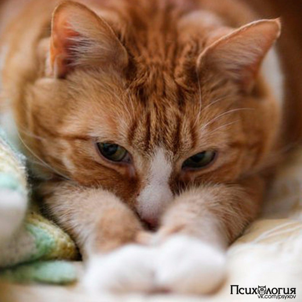     ? 1.       . 2.      ...