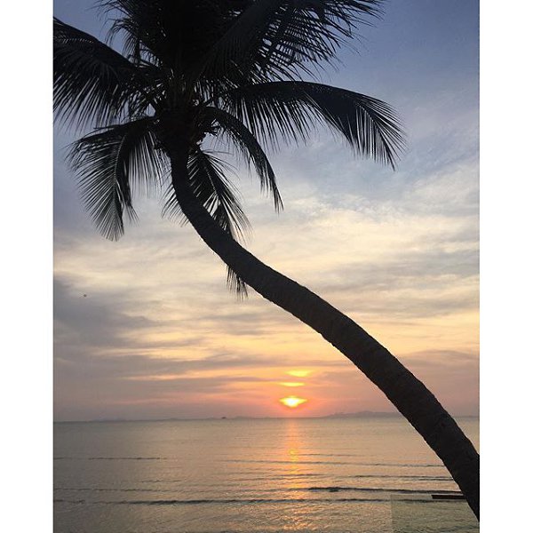 ������ �������� - 13 ����� 2016 � 20:00
