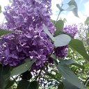 ���� �������, �����-��������� - ��������� 6 ���� 2016 � ������ ���� ����������