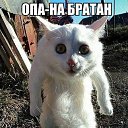���� �������, ��������, 49 ��� - ��������� 5 ��� 2016 � ������ ������ ��������