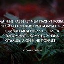 ���� ��������, ��������� - ��������� 17 ������� 2016 � ������ ������ ��������