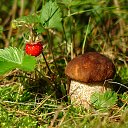 ���� �����, ������������, 59 ��� - ��������� 1 ������� 2016