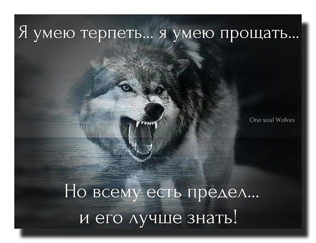 Kolya Palchevskiy - 25  2016  14:35