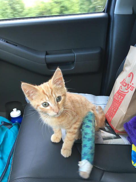      :3