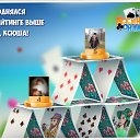 ���� Vladimir, ����-���������, 56 ��� - ��������� 22 ������ 2016 � ������ �������� �������-�������