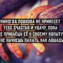 ���� ��������, ����� - ��������� 14 ����� 2016 � ������ ������ ��������