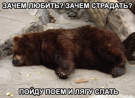    :D - 29  2016  02:34