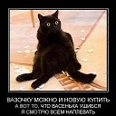 ���� �������, ������-��-���� - ��������� 3 ���� 2016 � ������ ������ ��������