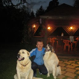 ������, �������