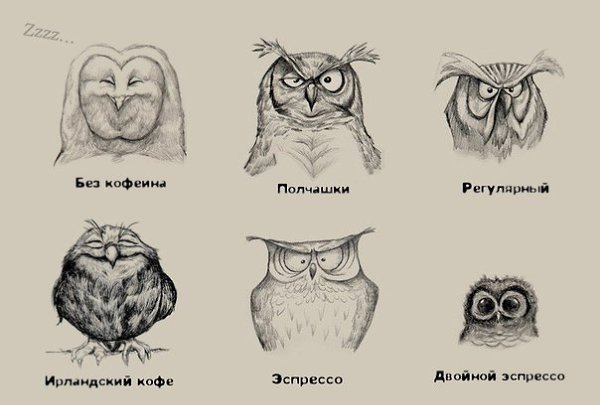Art & Fun - 8  2016  13:07