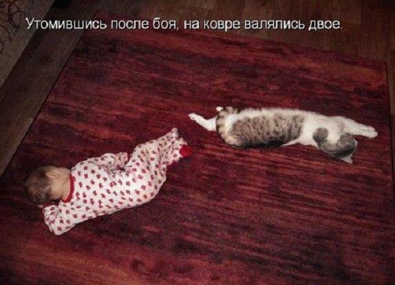  -  - 16  2016  21:22
