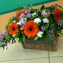 ���� Zina, ���������, 37 ��� - ��������� 13 ������ 2016 � ������ ������ ��������