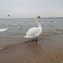 ���� �����, ���� - ��������� 28 ����� 2016 � ������ �������������� ����