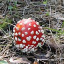 ���� �����, ������������, 59 ��� - ��������� 16 ���� 2016 � ������ ������ �����.�