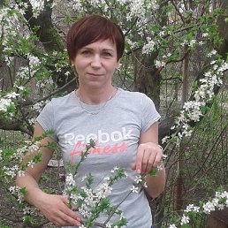 , 54, 