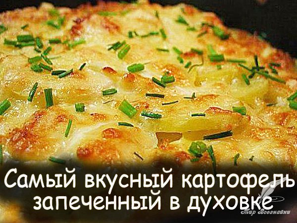 ����� ������� ���������.���������� � �������.��������� ������ � �������������������� � ������ ����� ...