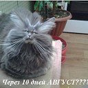 ���� ����������, �������������, 47 ��� - ��������� 21 ���� 2016 � ������ ������ ��������