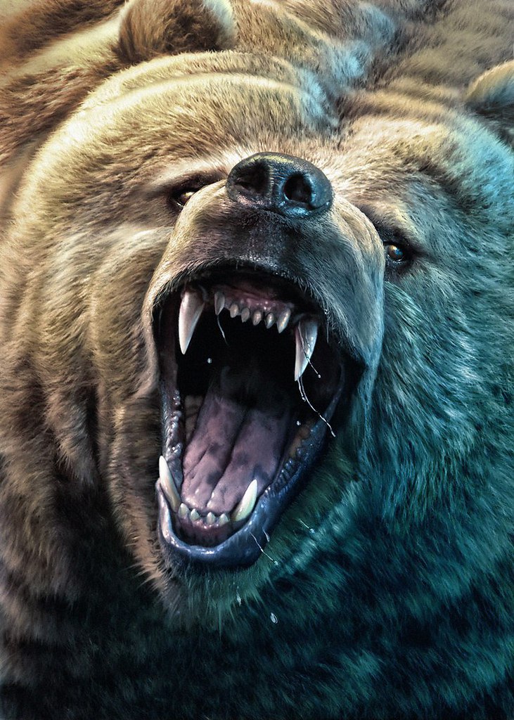 Медведь Гризли оскал. Медведь Гризли злой. Грозный медведь Гризли. Гризли Беар.