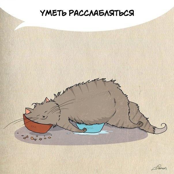      : - 4