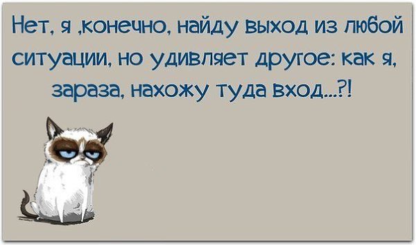 ☆ ☆ - 11  2016  09:06