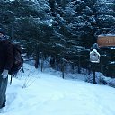 ���� ����, �����������, 40 ��� - ��������� 6 ��� 2016