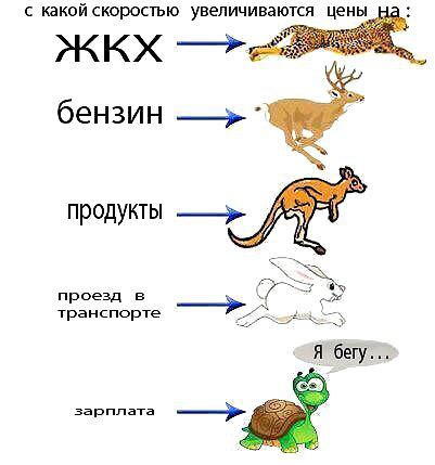    :D - 10  2016  16:34