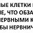 ���� ������, �����������, 45 ��� - ��������� 5 ��� 2016