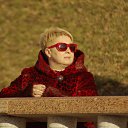 ���� �����, �������, 48 ��� - ��������� 27 ����� 2016