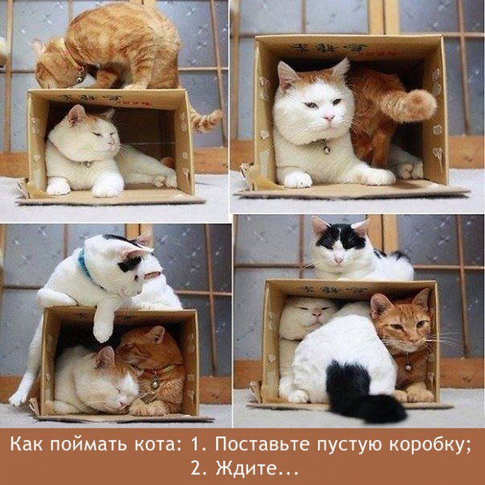  "  "