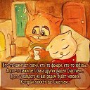 ���� �������, ����� - ��������� 14 ����� 2016 � ������ ������ ��������