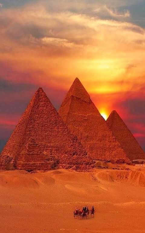 Nasser - 20  2016  16:09 - 2