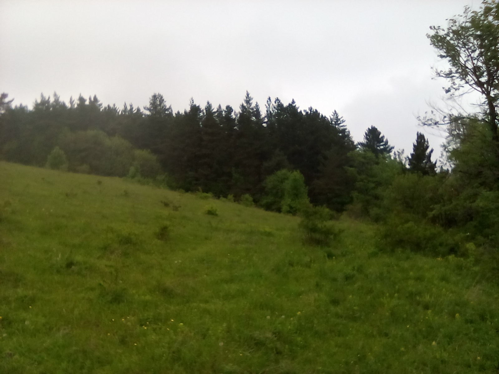 Ashot A Armenyan - 22 мая 2016 в 21:33