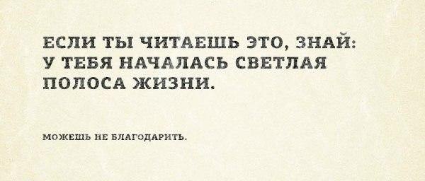 -. , . - 8  2016  10:52